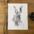 Zając – grafika w oprawie. Oryginał – zdjęcie 4