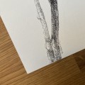 Wróbel – grafika w oprawie. Oryginał – zdjęcie 6