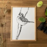 Wróbel - grafika w oprawie. Oryginał.