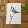 Wróbel – grafika w oprawie. Oryginał – zdjęcie 7