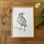 Skowronek - grafika w oprawie. Oryginał.