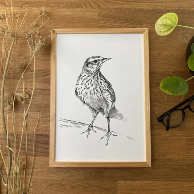 Skowronek - grafika w oprawie. Oryginał.