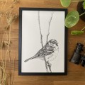 Wróbel – grafika w oprawie. Oryginał – zdjęcie 2