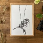 Wróbel - grafika w oprawie. Oryginał.