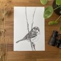 Wróbel – grafika w oprawie. Oryginał – zdjęcie 5