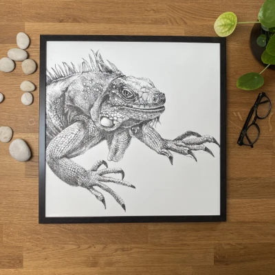 Iguana - grafika w oprawie. Oryginał.