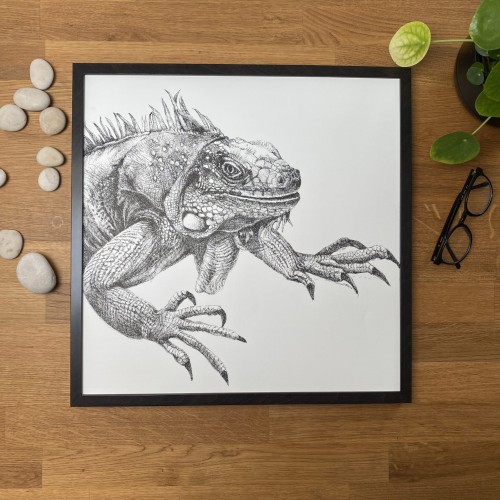 Iguana – grafika w oprawie. Oryginał