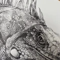 Iguana – grafika w oprawie. Oryginał – zdjęcie 3