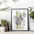 Irysy w stylu mieszanym. Art Print
