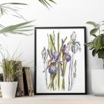 Irysy w stylu mieszanym.  Art Print