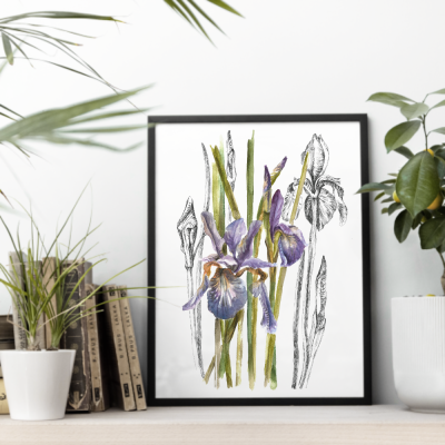 Irysy w stylu mieszanym.  Art Print