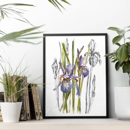 Irysy w stylu mieszanym. Art Print