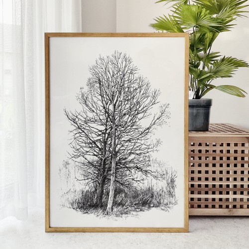 Samotne drzewo – grafika art print