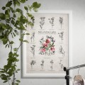 Plakat – Naturalnie Łąka – zdjęcie 4