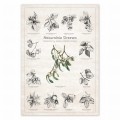 Plakat – Naturalnie Drzewa – zdjęcie 2