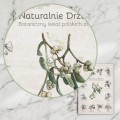 Plakat – Naturalnie Drzewa – zdjęcie 4