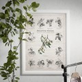 Plakat – Naturalnie Drzewa – zdjęcie 6