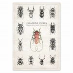 Plakat - Naturalnie Owady (czerwony)
