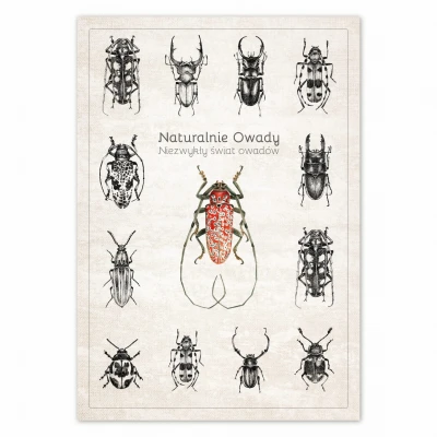Plakat - Naturalnie Owady (czerwony)