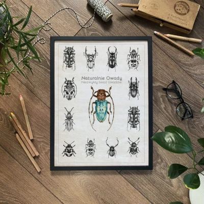 Plakat - Naturalnie Owady (niebieski)