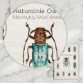 Plakat – Naturalnie Owady (niebieski) – zdjęcie 8