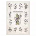 Plakat – Naturalnie Kwiaty