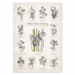 Plakat - Naturalnie Kwiaty