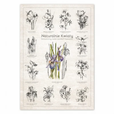 Plakat - Naturalnie Kwiaty
