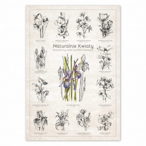 Plakat – Naturalnie Kwiaty