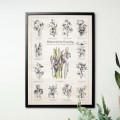 Plakat – Naturalnie Kwiaty – zdjęcie 2