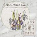Plakat – Naturalnie Kwiaty – zdjęcie 3