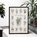 Plakat – Naturalnie Kwiaty – zdjęcie 5