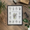 Plakat – Naturalnie Kwiaty – zdjęcie 6