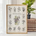 Plakat – Naturalnie Kwiaty – zdjęcie 8
