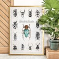 Plakat – Naturalnie Owady (niebieski) – zdjęcie 3