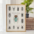 Plakat – Naturalnie Owady (niebieski) – zdjęcie 4