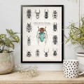 Plakat – Naturalnie Owady (niebieski) – zdjęcie 5