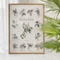 Plakat – Naturalnie Drzewa