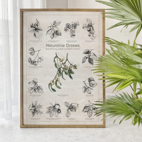 Plakat – Naturalnie Drzewa