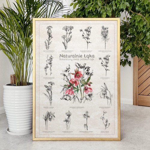 Plakat – Naturalnie Łąka