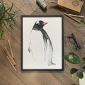 Pingwin – grafika art print