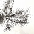 Puchacz. Grafika w oprawie. ORYGINAŁ – zdjęcie 2