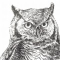 Puchacz. Grafika w oprawie. ORYGINAŁ – zdjęcie 3