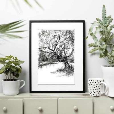 Wierzba. Grafika art. print w oprawie.