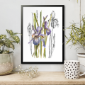 Irysy – grafika art print w oprawie – aranżacja we wnętrzu