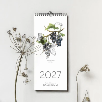 Kalendarz ścienny 2027 „Naturalnie owoce” – akwarele i tusz
