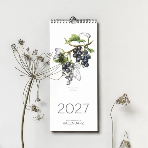 Kalendarz ścienny 2027 Naturalnie owoce – okładka z czarną porzeczką